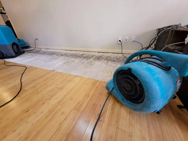 Professional Flood Damage Cleanup technician working in Lincoln Park, MI